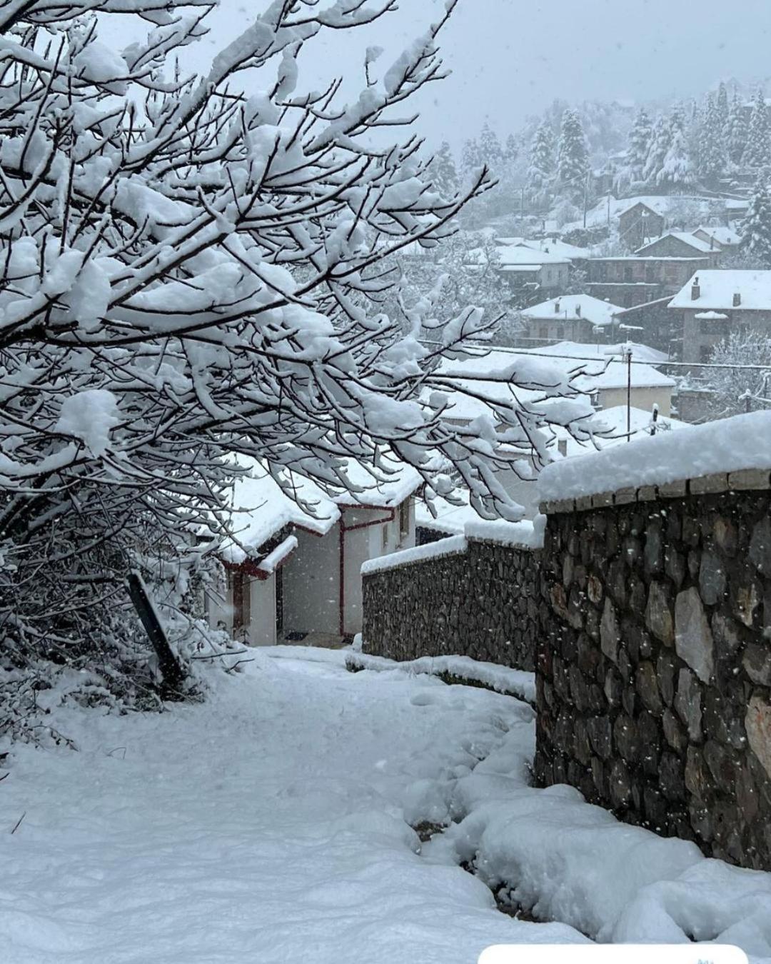 Asimina Guesthouse Eptálofos Eksteriør billede
